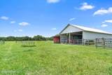 786 River Road - Photo 3