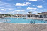 492 Jarama Circle - Photo 62