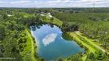 27247 Hallman Road - Photo 49
