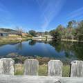 3222 Buttonwood Drive - Photo 34