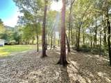 4583 Alligator Boulevard - Photo 2