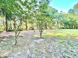 4583 Alligator Boulevard - Photo 3