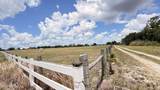 1302 Fort Meade Road - Photo 3
