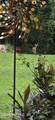 2140 Tom Thumb Road - Photo 47