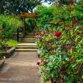 54 Fordham Lane - Photo 43