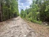 0 County Road 229 - Photo 2