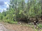 0 County Road 229 - Photo 3