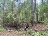 0 County Road 229 - Photo 4