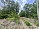 0 County Road 229 - Photo 8