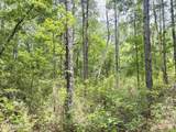 0 Lake Hampton - Photo 19