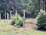 3923 Skipper Road - Photo 24