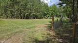 3923 Skipper Road - Photo 4