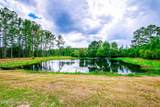 26575 Sheared Stokes Road - Photo 27
