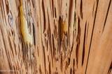 24900 147 Place - Photo 95