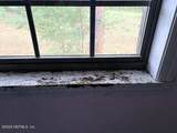 5830 Lady Bug Lane - Photo 18