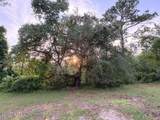 5830 Lady Bug Lane - Photo 29