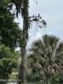 1900 Holly Oaks Lake Road - Photo 18