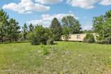 15976 Red Bass Drive - Photo 11