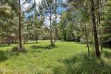 15976 Red Bass Drive - Photo 8