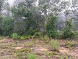 5628 County Road 214 - Photo 2