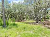 438 Chamberlain Road - Photo 1