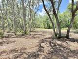 438 Chamberlain Road - Photo 12
