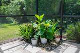 132 Bottlebrush Drive - Photo 62