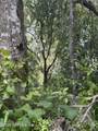 110 Reed-Bell Street - Photo 3