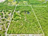 3622 Trail Ridge Road - Photo 5