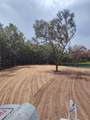 5511 Campo Drive - Photo 6
