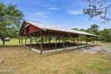 2445 Pellicer Road - Photo 34