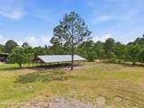 2445 Pellicer Road - Photo 35