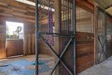 34175 Steeple Chase Way - Photo 76