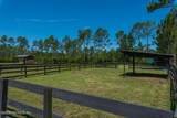 34175 Steeple Chase Way - Photo 83
