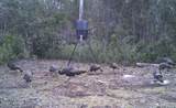 2411 Us Highway 301 - Photo 72