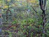 4235 Oak Forest Lane - Photo 10