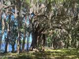 762 National Forest Road 75G Road - Photo 14