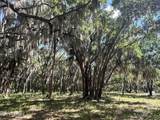 762 National Forest Road 75G Road - Photo 17