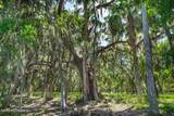 762 National Forest Road 75G Road - Photo 18