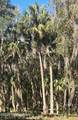 762 National Forest Road 75G Road - Photo 20