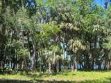 762 National Forest Road 75G Road - Photo 24