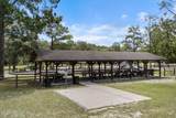 1131 Cactus Cut Road - Photo 45