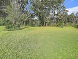 146 Whistling Palm Court - Photo 48