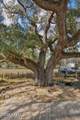 5090 Grannys Place - Photo 51