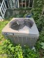 7353 Buffalo Avenue - Photo 14