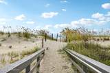 309 Forest Dune Drive - Photo 79