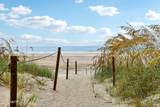 309 Forest Dune Drive - Photo 80