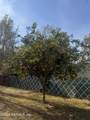 10728 Old Kings Road - Photo 23