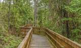 509 Millstone Drive - Photo 57