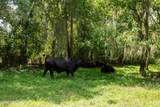 9284 County Road 225 - Photo 109